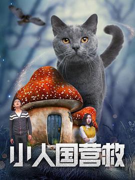 后宫帝王之妾