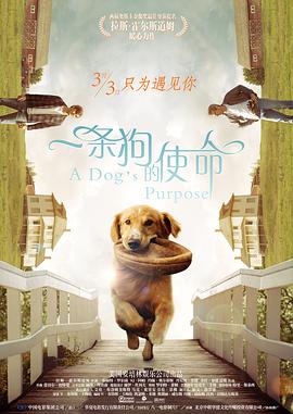 91免费福利