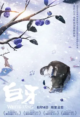 久久伊人中文字幕有码